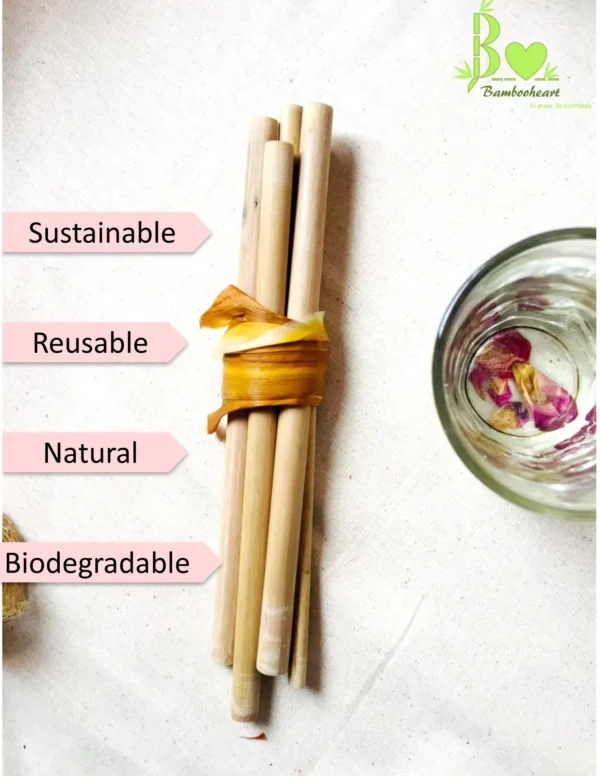 bamboo straw benefits