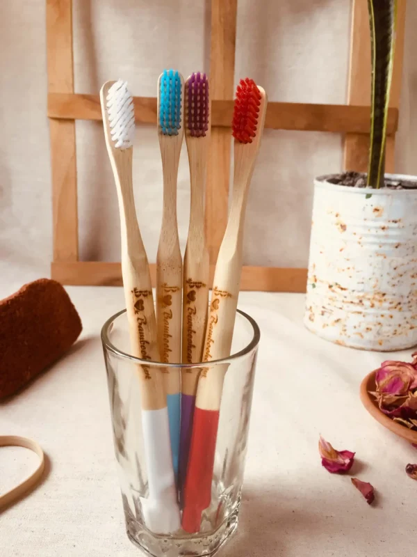 bamboo toothbrush india
