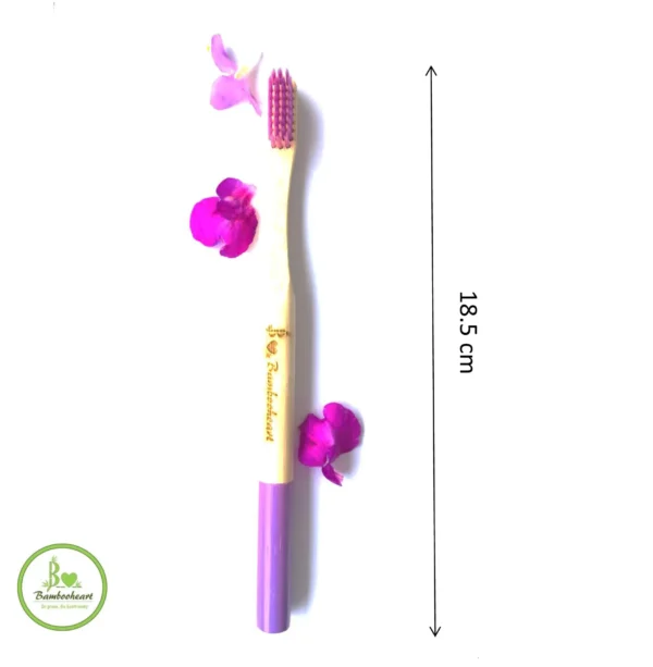 bamboo toothbrush measurement