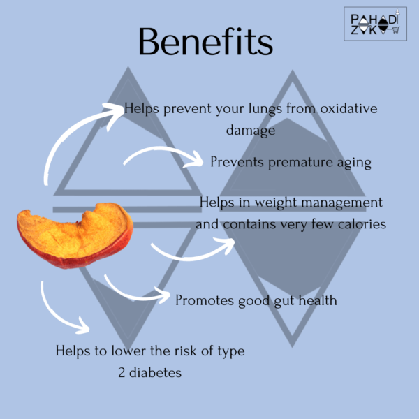 dried apples benefits