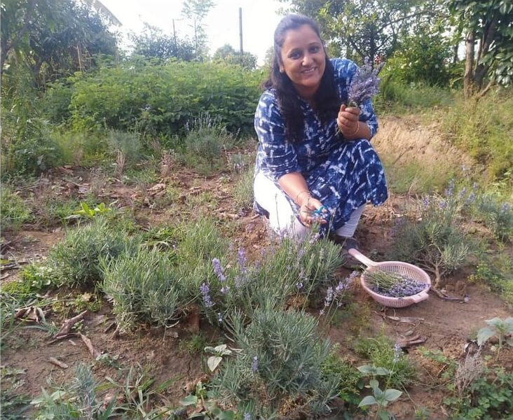 Aromatic Himalays Founder