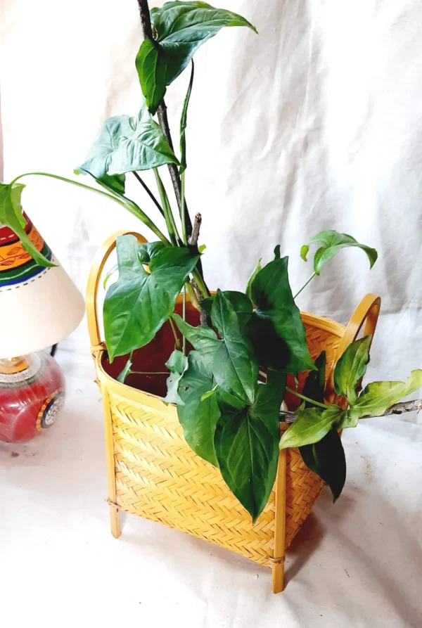 Bamboo storage basket