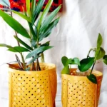 bamboo basket for plants set