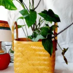 bamboo basket for plants with handle