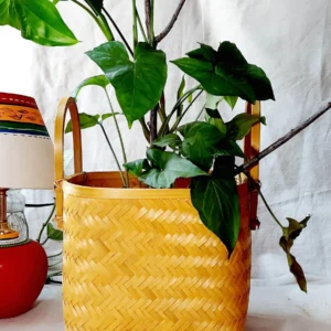 bamboo basket for plants with handle