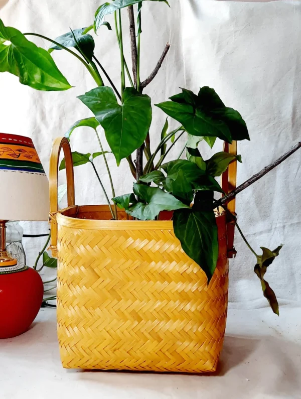 bamboo basket for plants with handle