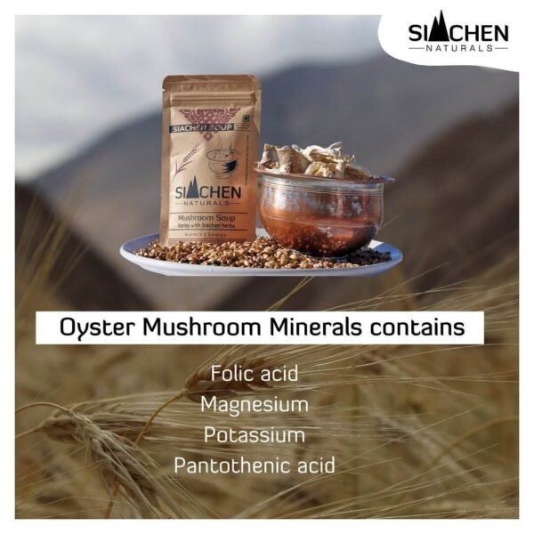 Oyster Mushroom  minerals