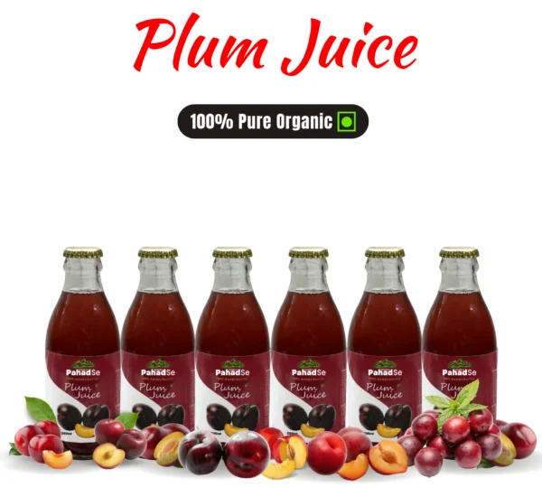plum juice pack of 6