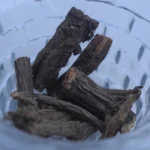 Angelica Glauca Edgew