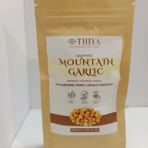 Traditional garlic with medicinal properties.