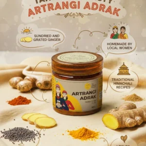 Tangy & Zesty Atrangi Adrak Product Poster