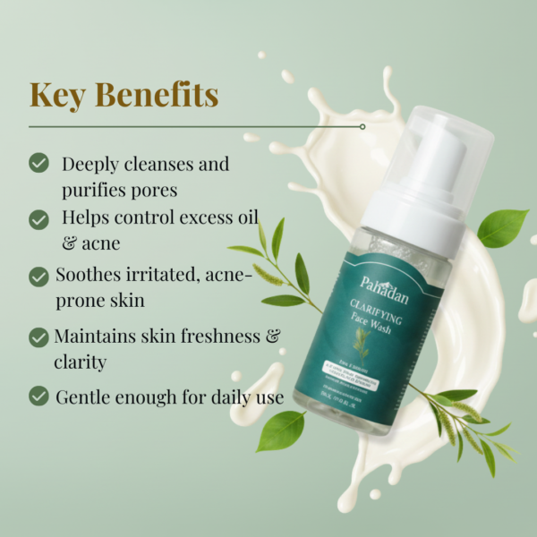 pahadan clarifying face wash key benefits acne oily skin