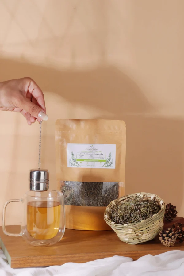 rosemary leaves tea with infuser cup lifestyle
