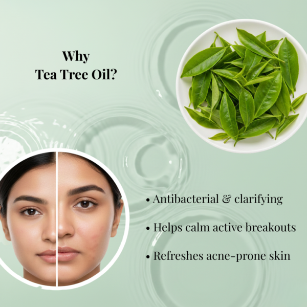 tea tree face wash benefits acne oily skin pahadan