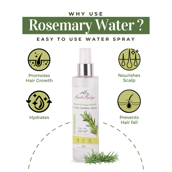 why use rosemary water hair growth benefits infographic
