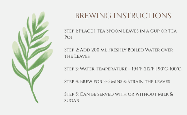 saakya blue pea flower tea brewing instructions